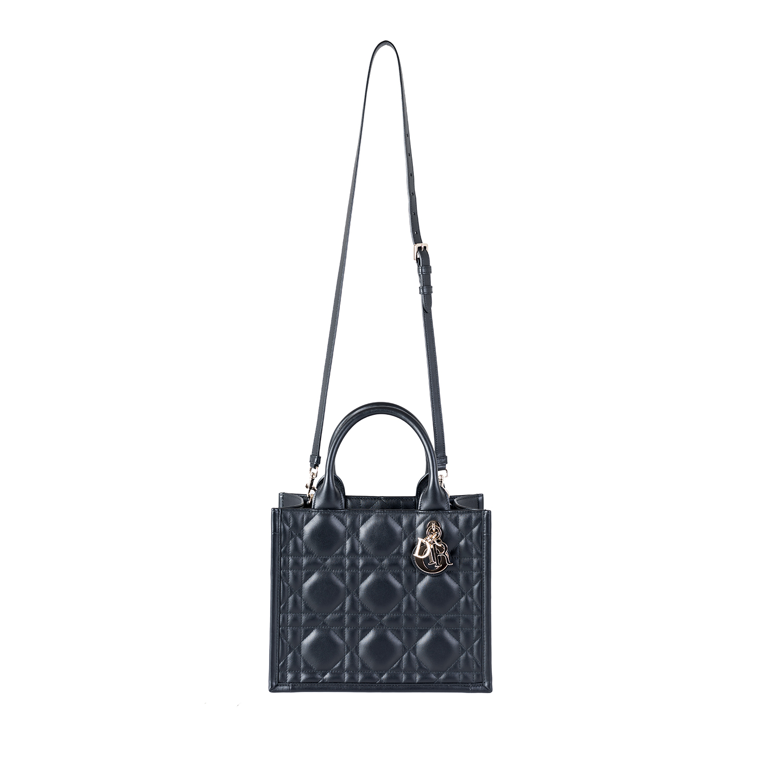 Borsa in Affitto Piccola Dior Book Tote